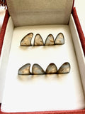 Colorful Guzheng Picks - Smooth and Medium Thick Multiple Color and Sizes 彩色中等厚度古箏指甲