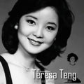 "The Moon Represents My Heart" - Digital Sheet Music《月亮代表我的心》古箏簡譜