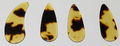 Simple and Thin Guzheng Finger Picks 普通薄型古箏指甲