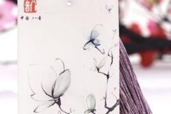 Acrylic Guzheng Pick Storage Boards